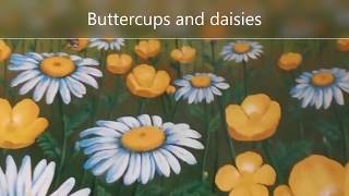 Buttercups and Daisies [upl. by Mathi]