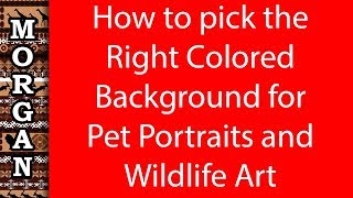 Pick the right colored background  pet portraits wildlife art [upl. by Votaw]