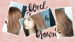 DIY Hair Dye  No Bleach  Philippines  PixiePeach ♥ [upl. by Irrej]