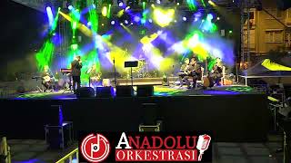 Anadolu Orkestrası Konser Sahnesi Enstrumantel [upl. by Killam859]