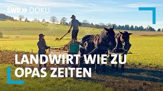 Joachims Experiment  Landwirtschaft wie vor 100 Jahren  SWR Doku [upl. by Mason]