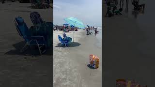 Is Coligny Beach worth the hype beach travel beachwalker [upl. by Danella]