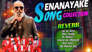 Senanayaka Weraliyadda Collection with Reverb  සේනානායක වෙරලියද්ද බණ්ඩාරගම රිවබ් සමග ගැයූ ගීත එකතුව [upl. by Ardnik]