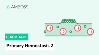 Primary Hemostasis  Part 2 Platelet Activation [upl. by Daria]