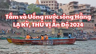 LẠ KỲ THÚ VỊ Ấn Độ 2024 Người người tắm và uống nước sông Hằng ở Varanasi  Đi thuyền dọc dòng sông [upl. by Dannon65]