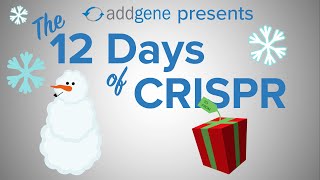 The 12 Days of CRISPR 2022  Presented by Addgene [upl. by Linson]