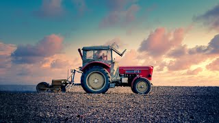 Musique La Ferme  Musique Country Joyeuse et Entrainante🌽🚜  Musique Libre de Droit [upl. by Annaoi600]