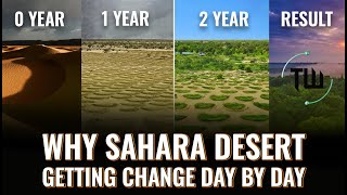 How Sahara Desert is Transforming  Trends in the World [upl. by Afirahs]