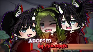 Adopted by CRIMINALS ⁉️  Gacha Life  GLMM  Mini Movie  ORIGINAL [upl. by Aicekan]