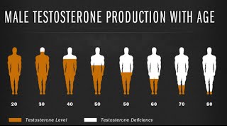 What is testosterone Pharmacology and psyche The main male hormone [upl. by Lehet]