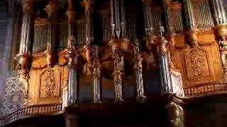 Bombardes of Albi Cathedral organ [upl. by Nnahoj683]