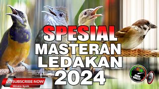 MASTERAN SPESIAL LEDAKAN 2024 KOMPILASI MEWAH UNTUK SEMUA JENIS BURUNG MURAI BATU DAN CUCAK IJO [upl. by Cheadle659]