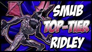 SMUB RIDLES IS TOP TIER [upl. by Hurlow]