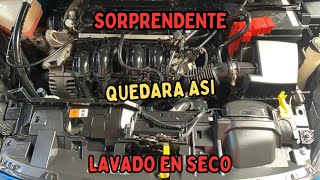 CÓMO LIMPIAR EL MOTOR DEL CARRO 🚙 LA MEJOR MANERA DE LAVAR UN MOTOR [upl. by Mauve865]