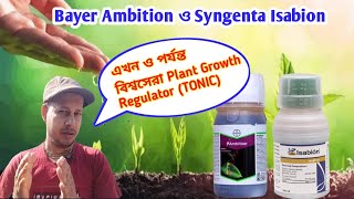 দুটি বিশ্বমানের Plant Growth Regulator  Bayer Ambition  Syngenta Isabion [upl. by Kial]