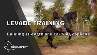 S03E14 Levade Training  Building Strength and Carrying Capacity [upl. by Nivonod]