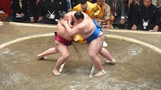 大注目の一番！ちょんまげ対決、遠藤（Endo vs 逸ノ城（Ichinojyo（平成27年・初場所初日 Day １ Sumo Hatsu Basho Jan 2015） [upl. by Petronella]