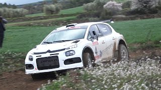 CAT  Rally Rocafort de Vallbona 2024  Jose Manuel Richarte  Ricard Martin  Citroen C3 N5 [upl. by Chelsie]