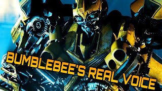 Every Time Bumblebee Used His Voice Box [upl. by Yanrahs]