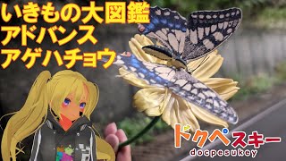 いきもの大図鑑アドバンス アゲハチョウ カプセル版【BANDAI】 [upl. by Vallo416]