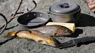 Catch and Cook and Camp Ep 3  Solo 2 Night 3 Days in the Wild  No Tent [upl. by Eornom]