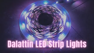 Dalattin Led Lights for Bedroom  25ft RGB 5050 Led Strip Lights Color Changing Kit [upl. by Eboh]