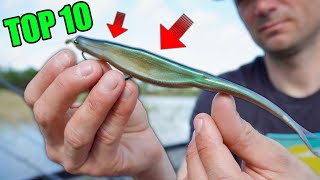 Top 10 Must Have Lures for Catching Fish in Florida Waters [upl. by As]