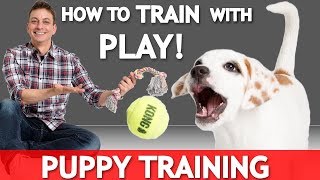 How to Train WITH Play with Your NEW PUPPY How to Train Without Treats [upl. by Sivia]