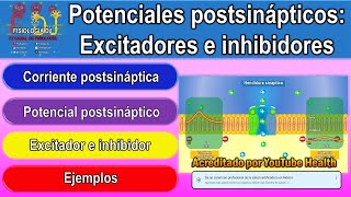 Potenciales postsinápticos  Potenciales postsinápticos excitadores e inhibidores [upl. by Livvy]