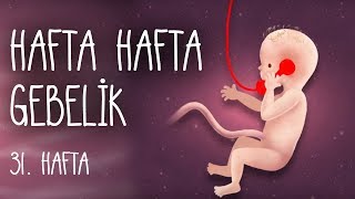 KLOMEN NEDİR 💊 KAÇ AY KULLANILIR Klomeni Herkes Kullanabilir Mi İnfertilite kısırlık tedavisi [upl. by Ahsinyd]