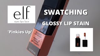 ELF GLOSSY LIP STAIN PINKIES UP Lets Swatch It [upl. by Ellehcar905]