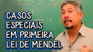 Casos Especiais em Primeira Lei de Mendel  Extensivo Biologia  Descomplica [upl. by Medora621]