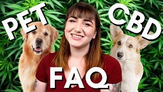 CBD Oil For Pets  Benefits Side Effects and Will It Make My Dog High [upl. by Ahsemit]