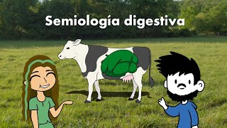 Semiología digestiva en rumiantes [upl. by Nnailuj264]