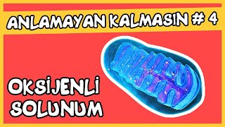 Anlamayan Kalmasın 4 Oksijenli Solunum [upl. by Hsirrap]