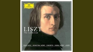 Liszt Anfangs wollt ich fast verzagen S311 [upl. by Horowitz]