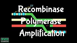 Recombinase Polymerase Amplification  RPA  RPA Vs PCR Difference [upl. by Tatiana]