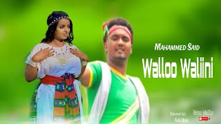 Dhufne Nusimattu  WWW NEW ETHIOPIAN OROMO 2024 WALLOO OROMOO MUSIC [upl. by Gilbye632]