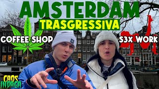 AMSTERDAM DOVE LA TRASGRESSIONE È TOLLERATA 🇳🇱  Caos Indaga [upl. by Declan871]