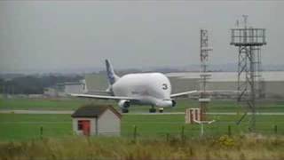 Airbus Beluga TAKEOFF  Broughton [upl. by Htenek]