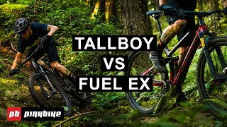 2020 Santa Cruz Tallboy vs Trek Fuel EX 99 Review  New Light Trail Bikes Head to Head [upl. by Panta]