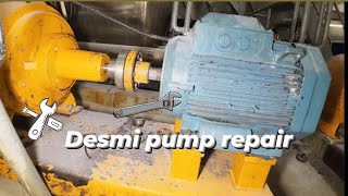 Repair of a Desmi pump  new bearings and shaft seal replacement [upl. by Curnin]