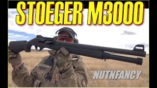 Who Needs a Benelli Stoeger M3000 [upl. by Natek]