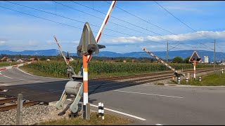 Bahnübergang Bettenhausen CH  Swiss Railroad Crossing [upl. by Grieve]