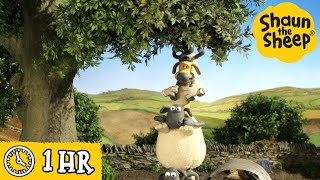 Shaun the Sheep 🐑 Fun on The Farm  Cartoons for Kids 🐑 Full Episodes Compilation 1 hour [upl. by Gordan]