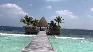 Maldives North Ari Atoll  Kandolhu Maldives  full island 🏝️ video tour [upl. by Mozza]