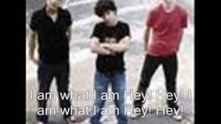 I am what I amJonas Brotherswith lyrics [upl. by Ueihtam]