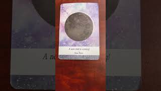 306 Gemini  Moonology Oracle Message [upl. by Jacky]