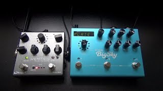 Source Audio Ventris vs Strymon Big Sky  Reverb comparison [upl. by Nwhas]