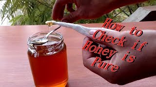 How to check if Honey is Pure [upl. by Augusta67]